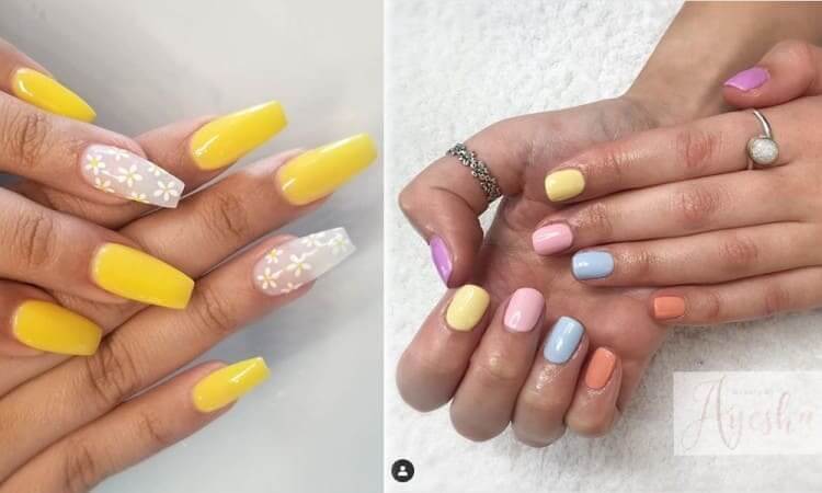 Leo (July 23 – August 22)