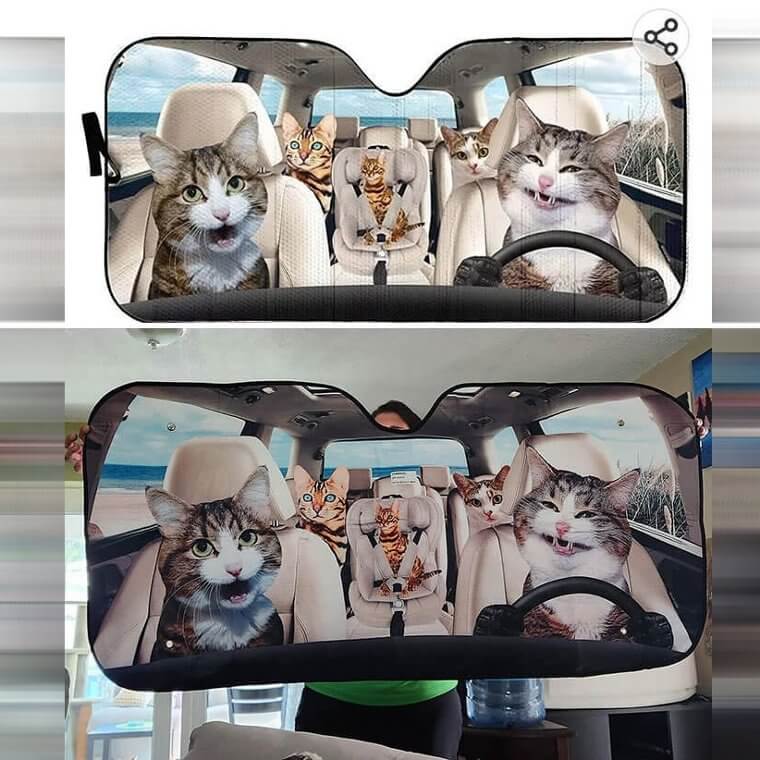 Cat's Out the Bag