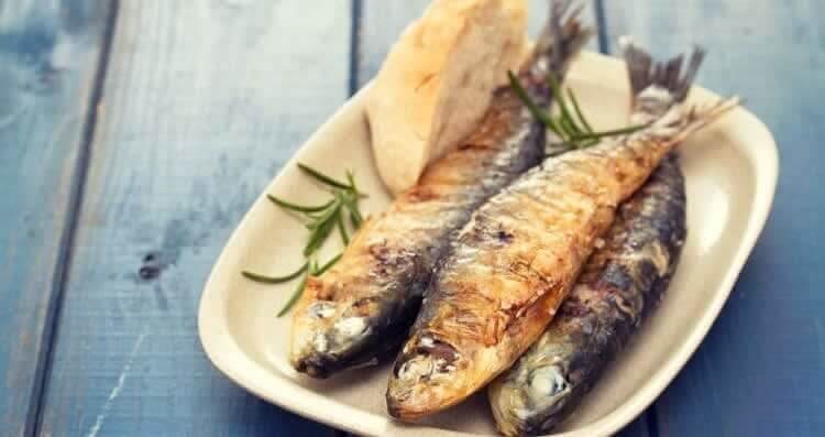 Sardines