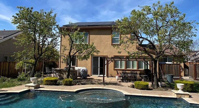 Keep Your Trees Neatly Trimmed for Best Visibility