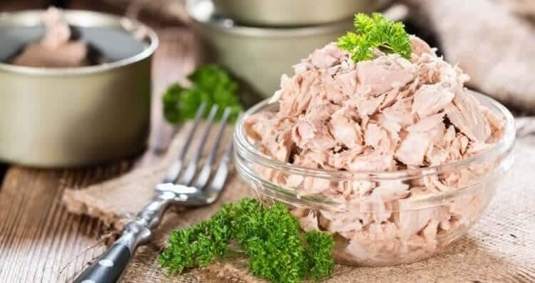 Tinned Tuna