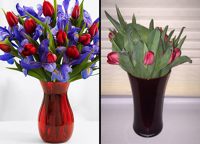 Not a Lot of Flower Power