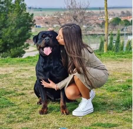 Get a Dog to Protect You