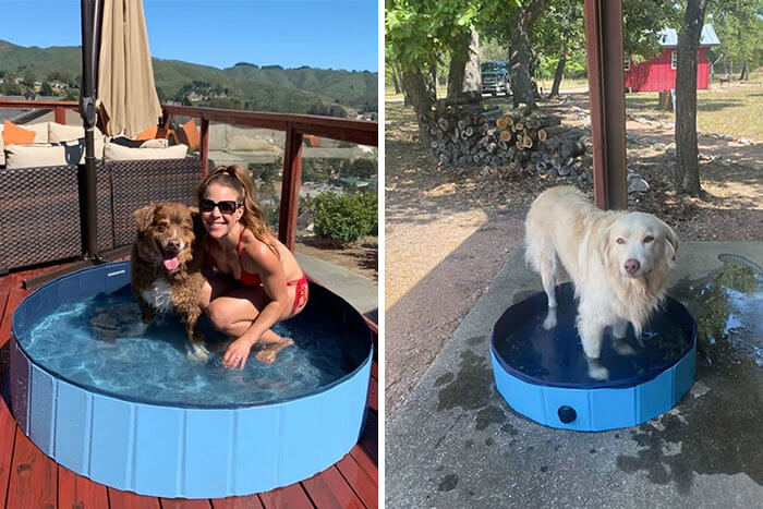 "What the Heck, Mom? "